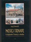 Mojej Trnave - náhled