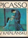 Picasso v Katalánsku - náhled