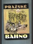 Pražské bahno - náhled