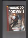 Průnik do podsvětí - náhled