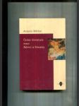 Česká literatura mezi Němci a Slovany (články a studie) - náhled