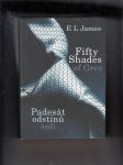 Fifty Shades of Grey (Padesát odstínů šedi) - náhled