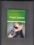 Projekt Sandrina - náhled