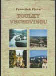 Toulky vrchovinou (Stručná historie měst, obcí a významných míst vrchoviny) - náhled