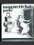 Magnetická pole  - náhled