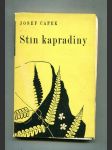 Stín kapradiny - náhled