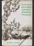 Podivná příhoda inženýra Vladivoje Vejvody a jiné rozmarné povídky - náhled