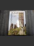 Záhadný zub (Sto příběhů z českých hradů, zámků a archeologických nalezišť) - náhled