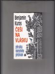 Češi na vlásku (Příručka národního přežívání) - náhled