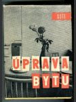 Úprava bytu - náhled