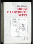 Srdce v labyrintu světa - náhled