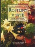 Rostliny v bytě - náhled