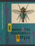 Kapesní atlas dvoukřídlého hmyzu - náhled