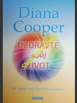 Uzdravte svůj život - jak změnit svůj život krok za krokem - cooper diana - náhled