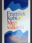 Mezi válkami - kubka františek - náhled