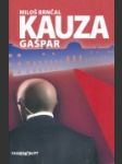 Kauza Gašpar - náhled