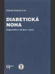 Diabetická noha: Diagnostika a terapie v praxi - náhled