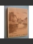 Mezi Labem a Orlicí [východní Čechy - kraj Hradec Králové - historický a hospodářský vývoj, stavební i umělecké památky, přírodní bohatství Královéhradeckého kraje ] - náhled