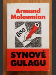 Synové gulagu - náhled