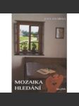 Mozaika hledání - náhled