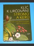 Klíč k určování stromů a keřů - náhled