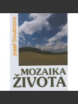 Mozaika života - náhled