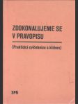 Zdokonalujeme se v pravopisu, praktická cvičebnice s klíčem - náhled