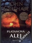 Platanová alej - náhled