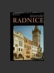 Historické radnice - náhled