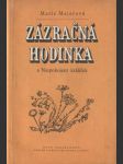 Zázračná hodinka - náhled