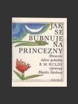 Jak se bubnuje na princezny - náhled