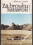 Za brouky Saharou - náhled