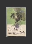 Toulavý medvídek - náhled