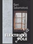 Elektrické pole - náhled