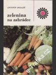 Zelenina na zahrádce - náhled