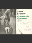 Promenáda s jelenem - náhled