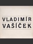 Vladimír Vašíček - náhled