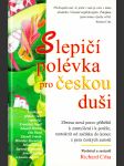 Slepičí polévka pro českou duši - náhled