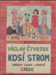 Kosí strom - náhled