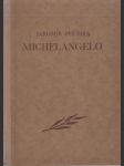 Michelangelo - náhled