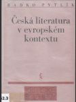 Česká literatura v evropském kontextu - náhled