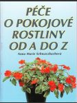 Péče o pokojové rostliny - náhled