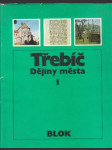 Třebíč: Dějiny města I. - náhled