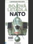 Bojová letadla NATO - náhled