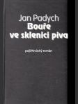 Bouře ve sklenici piva - náhled