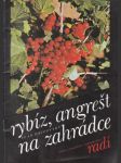 Rybíz, angrešt na zahradě - náhled