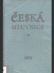 Česká mluvnice - náhled