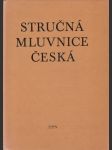 Stručná mluvnice česká - náhled