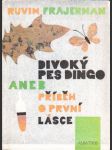 Divoký pes Dingo aneb příběh o první lásce - náhled