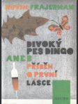 Divoký pes Dingo - náhled